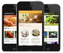 手機(jī)網(wǎng)站怎樣做才更有效果？如何做優(yōu)化？