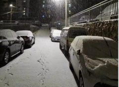 青島！大雪！大愛！