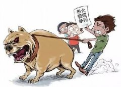 青島10月份一大波勁爆消息，你知道嗎？