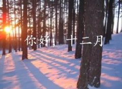抓住2016年的尾巴給自己充充電！12月，加油！